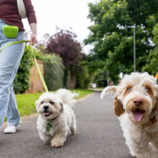 Pet Care Club of Ames