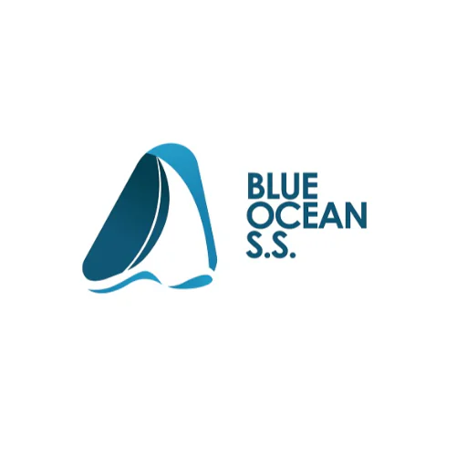 Blue Ocean Strategy & Service