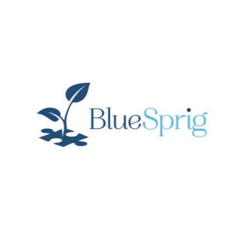 Florida Autism Center Lutz, a division of BlueSprig