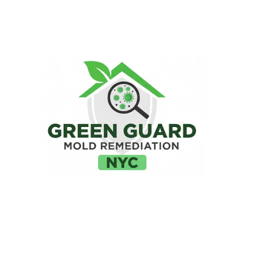 Green Guard Mold Remediation NYC