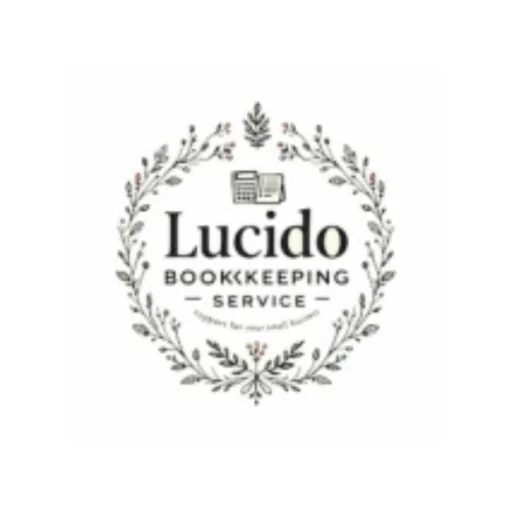 lucido bookkeeping service