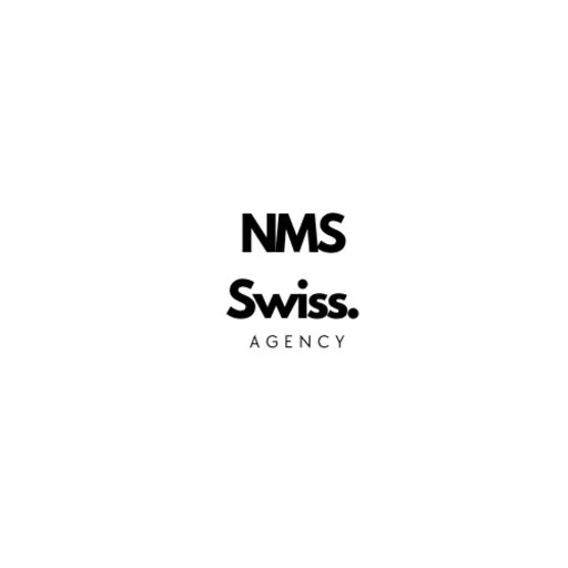 NMS SWISS - Agence De Pub Web SEO/SEA - Création Site Internet